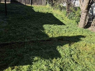 Cleanups by Juan Rodriguez for Rebeca L. in Rancho Cordova, CA