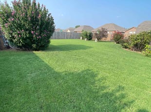 Nicolette H.'s Lawn Mowing service result