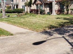 Cleanups by Stephen Morales for Amy Z. in Richmond, TX