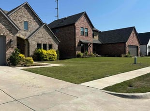 Dewone G.'s Lawn Mowing service result