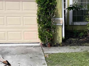 Yvonne A.'s Bush Trimming service result