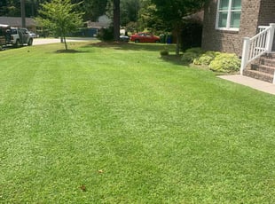 Hannah M.'s Lawn Maintenance service result