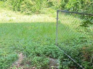 Cleanups by Toni Feaster for Miss C. in Decatur, GA