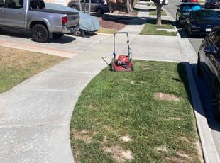Raleigh D.'s Lawn Mowing service result