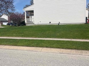 Madhavi C.'s Lawn Mowing Service service result