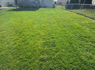 Nina M.'s Lawn Service service result