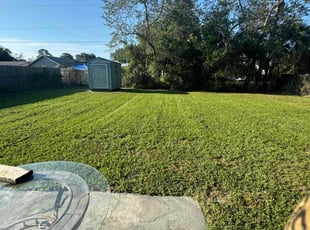Alberto R.'s Lawn Maintenance service result