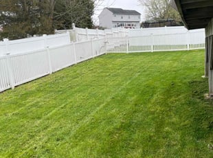 Michael L.'s Lawn Care service result
