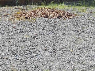 Leaf Removal by Christopher Agostini for Jerome R. in Auburn, CA