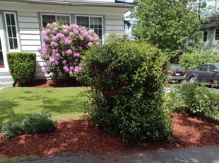 Cleanups by Nick Salter for Sue W. in Worcester, MA