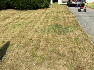 Cleanups by Leon Davis for Heather L. in Nashua, NH