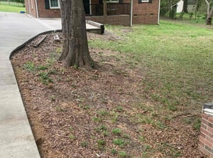 Leaf Removal by Steve Fairfax for Steve T. in Waxhaw, NC