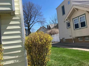 Bush Trimming by Ashlea Roth for Stefanie l. in Lakewood, OH