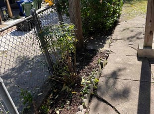 Bush Trimming by James Rouzer for Glenn M. in Baltimore, MD
