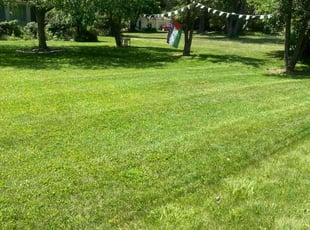 Michaelene R.'s Lawn Maintenance service result