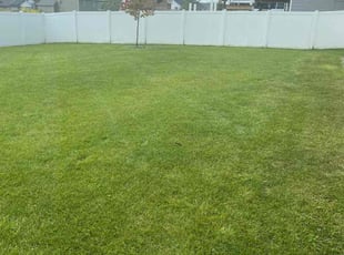 Beth A.'s Lawn Service service result