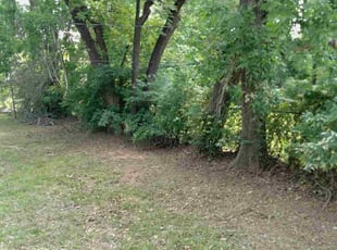 Leaf Removal by Sam Tyler for Jason D. in Oklahoma City, OK