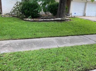 danielle s.'s Lawn Maintenance service result