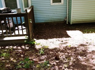 Leaf Removal by Chris Thomas for Englishe W. in Chesterfield, VA