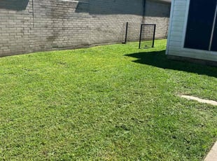 Diane L.'s Lawn Service service result