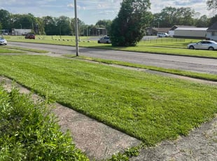 Cheryl M.'s Lawn Care service result