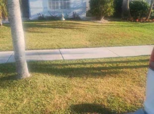 Rachael L.'s Lawn Mowing service result