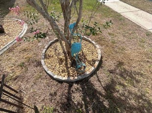 Weeding by Mark Leon for Michelle B. in Clermont, FL