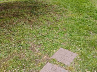 Leaf Removal by Andrew Hendrickson for Dionna W. in Kansas City, MO