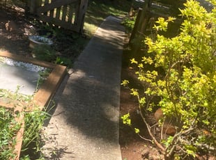 Weeding by Donald Killian for Janetmoyecornick C. in Columbia, MD