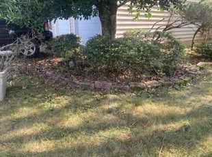 Bush Trimming by Andrew Satterwhite for Kimberly L. in Fredericksburg, VA