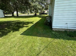 Ian L.'s Lawn Maintenance service result
