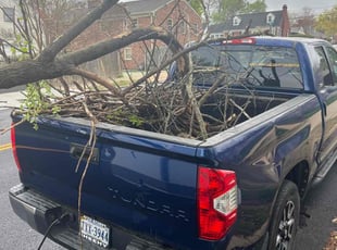 Cleanups by Mackenzy Christophe for James M. in Fredericksburg, VA