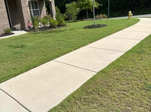 Michael J.'s Grass Cutting service result