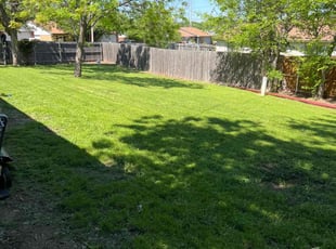 Renda M.'s Yard Cutting service result