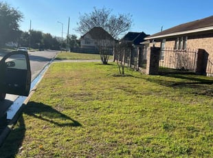 Cindy B.'s Lawn Service service result