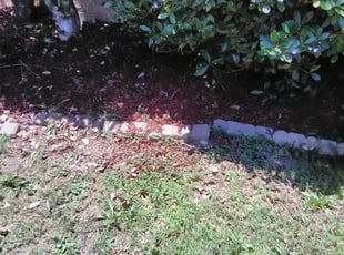 Mulching by Robert Beals for Monica M. in Arlington, TN