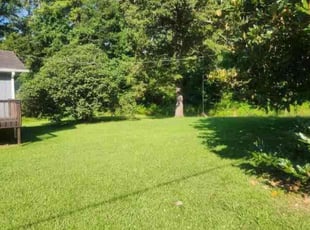 Justine P.'s Grass Cutting service result