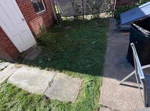 Molly T.'s Yard Cutting service result