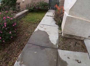 Leaf Removal by Fatima Sevillano for Peter L. in Fontana, CA
