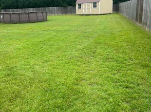 Lori K.'s Lawn Mowing service result