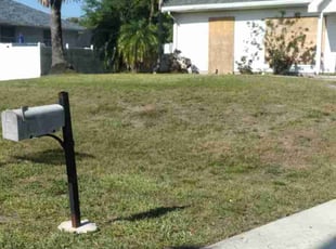 Susan G.'s Lawn Service service result