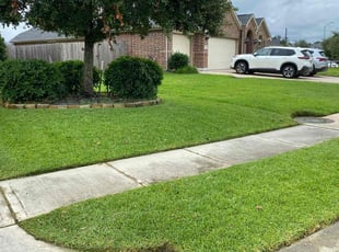 Norma L.'s Grass Cutting service result