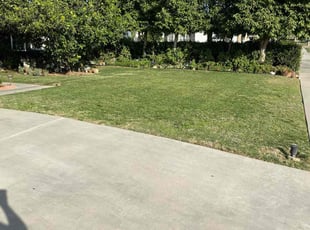 Asma H.'s Lawn Service service result