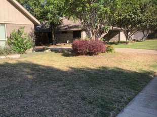 Leaf Removal by Roger Brock for Timothy G. in Dallas, TX