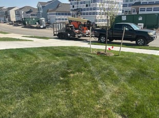Peter C.'s Lawn Mowing Service service result