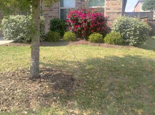 Weeding by John Brown for Leslie T. in McKinney, TX