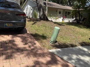 Leaf Removal by Nick Collette for Justin M. in Safety Harbor, FL