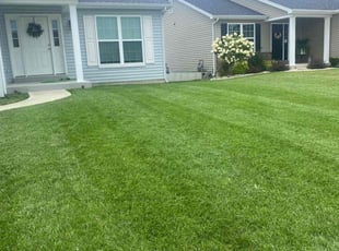 Jessica F.'s Lawn Mowing service result