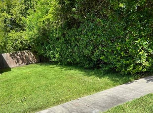 Bush Trimming by Jonathan Cruz for Wyatt E. in Daytona Beach, FL