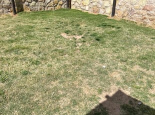Cleanups by Arturo Lopez for Samantha M. in El Paso, TX